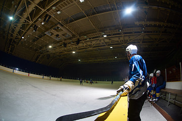 Image showing ice hockey players on bench