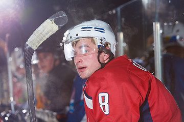 Image showing ice hockey player portrait