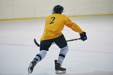 Image showing ice hockey player in action