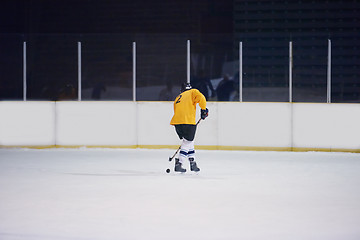 Image showing ice hockey player in action