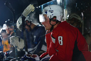 Image showing ice hockey player portrait