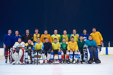 Image showing ice hockey players team portrait