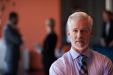 Image showing senior business man with his team at office