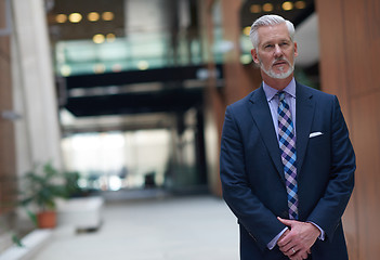 Image showing senior business man portrait