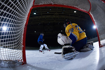 Image showing ice hockey goalkeeper