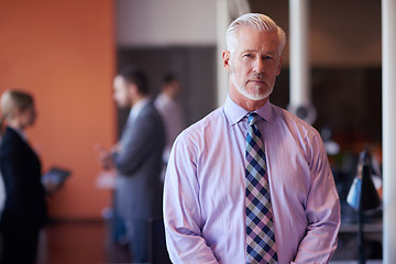 Image showing senior business man with his team at office