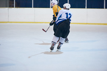 Image showing ice hockey player in action