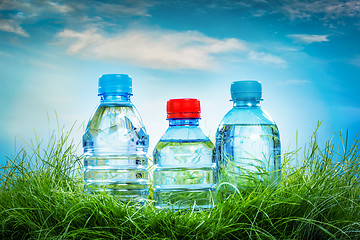 Image showing Water bottle on the grass