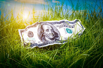 Image showing Dollars in the green grass