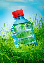 Image showing Water bottle on the grass