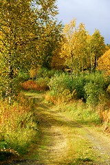 Image showing Autumn road