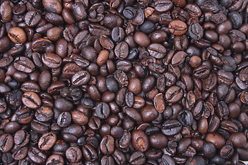 Image showing coffea