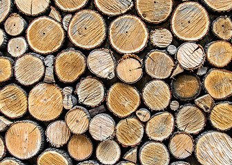 Image showing Background from dry wood logs stacked on each other