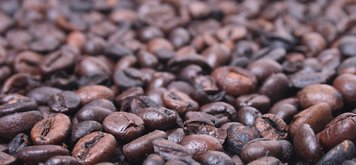 Image showing coffea