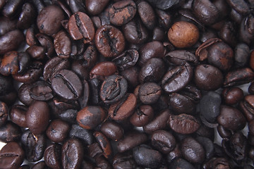 Image showing coffea