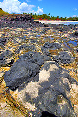 Image showing andilana beach seaweed in indian    sky and rock