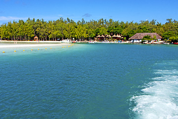 Image showing beach ile du cerfs seaweed in indian people and rock