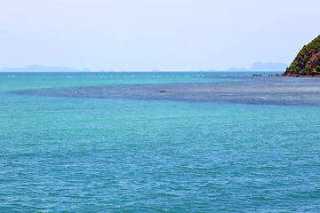 Image showing   phangan  bay  coastline of a green lagoon and tree 