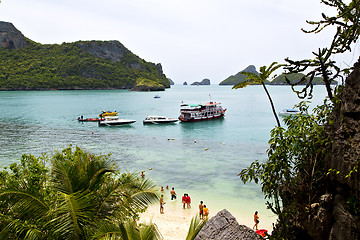 Image showing  boat coastline of a  green lagoon   sea thailand kho phangan   