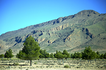 Image showing valley in   africa tree  isolated hill 