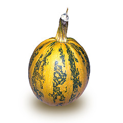 Image showing pumpkin