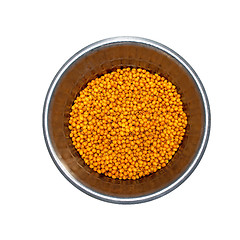 Image showing sea buckthorn berry