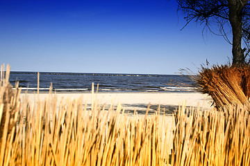 Image showing Beach