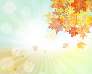 Image showing Autumn  design 