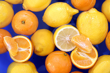 Image showing Oranges and lemons