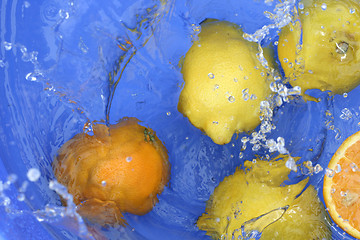 Image showing Oranges