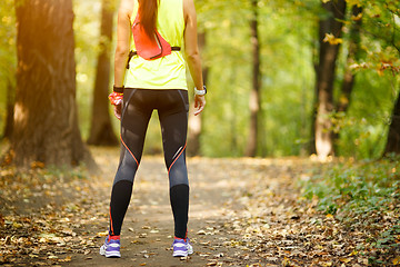 Image showing woman doing exercise