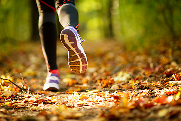 Image showing Woman exercise, shoes closeup