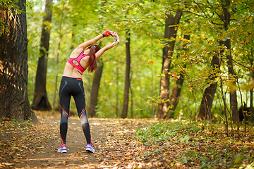 Image showing woman exercising before jogging 