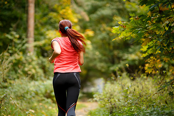 Image showing sporty  woman running in forest 