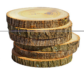 Image showing Wood slices