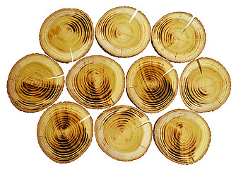 Image showing Wood slices