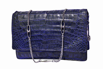 Image showing Alligator leather bag
