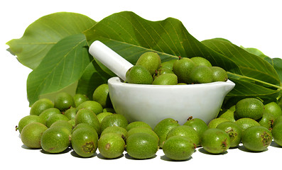 Image showing Green young walnuts in husks