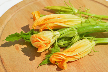 Image showing Yellow courgette blossoms