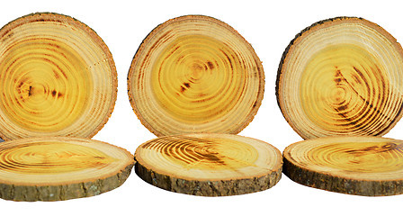 Image showing Wood slices