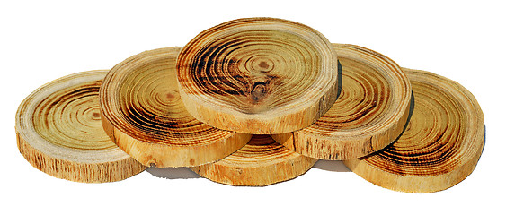 Image showing Wood slices