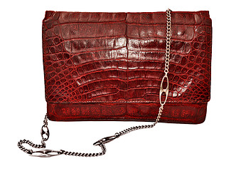 Image showing Alligator leather bag