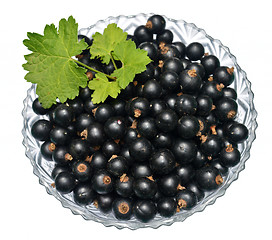 Image showing Blackcurrant