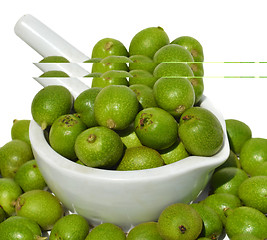 Image showing Green young walnuts in husks