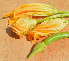 Image showing Yellow courgette blossoms