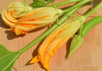 Image showing Yellow courgette blossoms