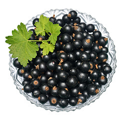 Image showing Blackcurrant