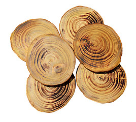 Image showing Wood slices