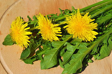 Image showing Dandelion