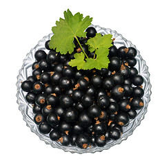 Image showing Blackcurrant